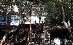 Quinta De Sao Caetano - Sao Miguel Acores